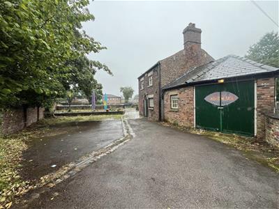 Picture 19